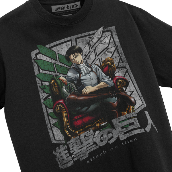 Playera 