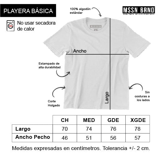 Playera 